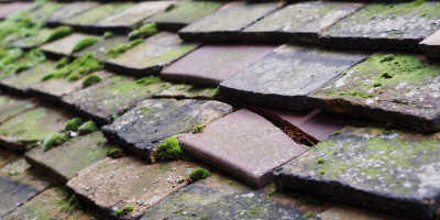 Burslem roof repair costs